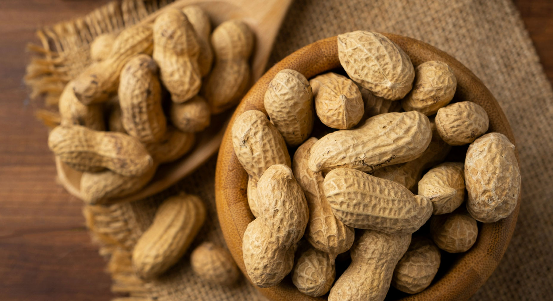 تصدير المحاصيل الزراعية